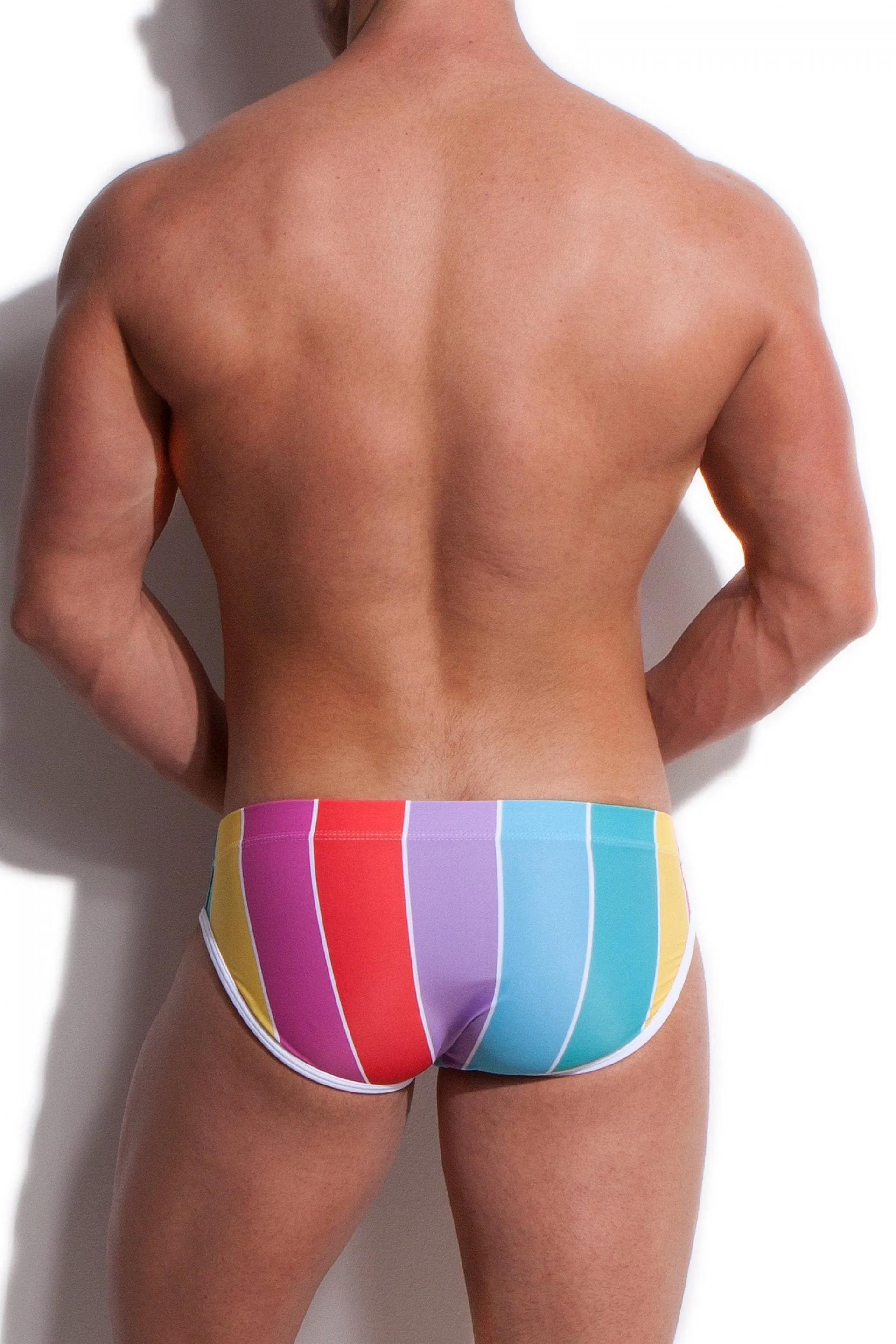 ALEXANDER COBB BRIEF BARCELONA COLOR STRIPE SWIMWEAR