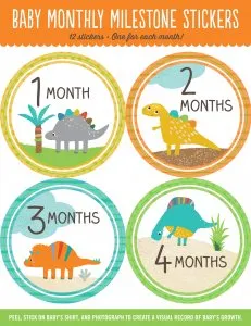 Baby Milestone Stickers - First Year