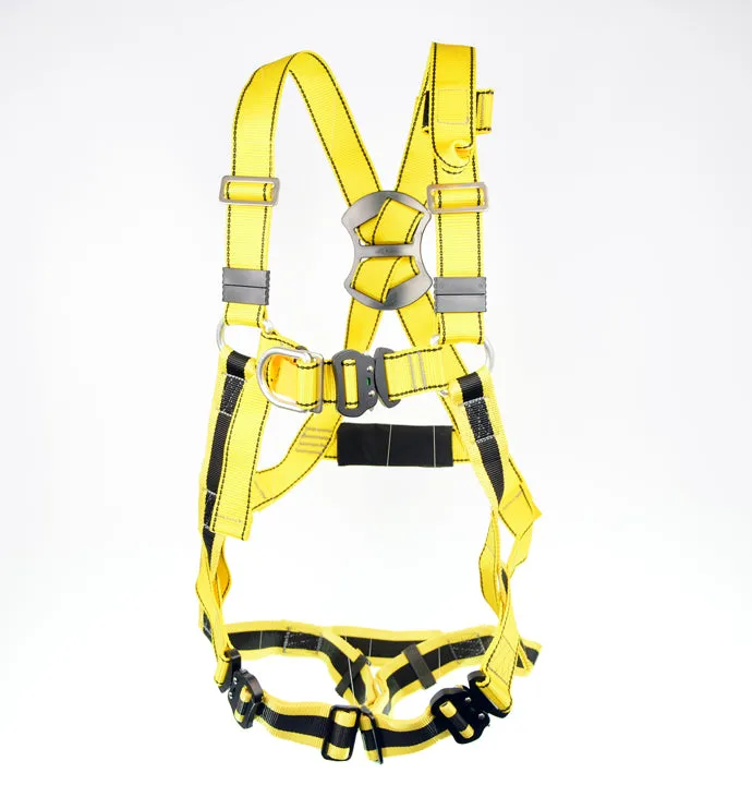 BIGBEN® Deluxe 2 Point Safety Harness - Quick Release
