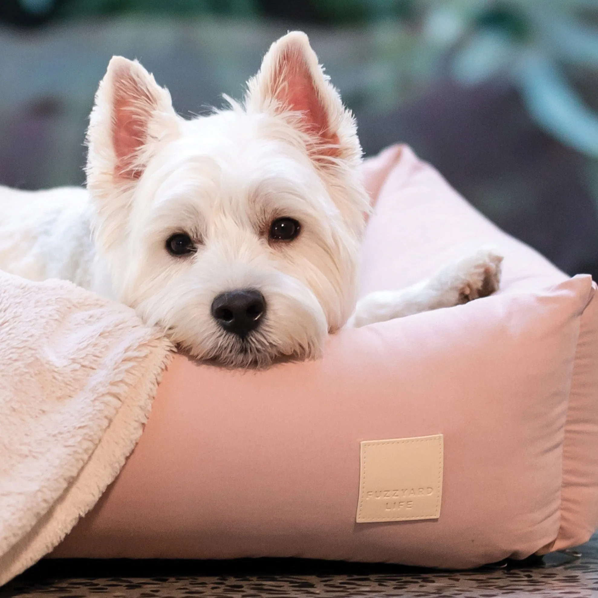 Blush Pink Corduroy Bolster Dog Bed | Luxury Comfort for Your Pet