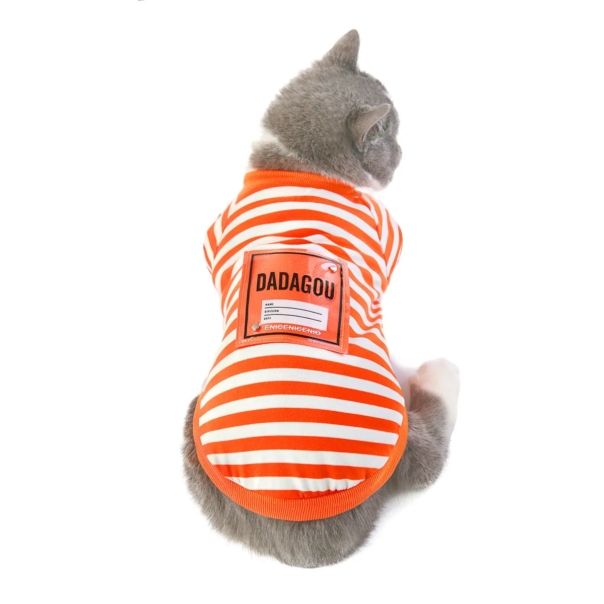 Cat clothes summer T-shirt pet clothes