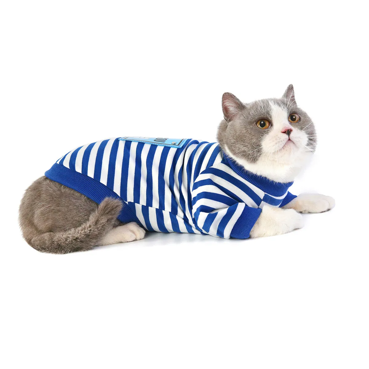 Cat clothes summer T-shirt pet clothes