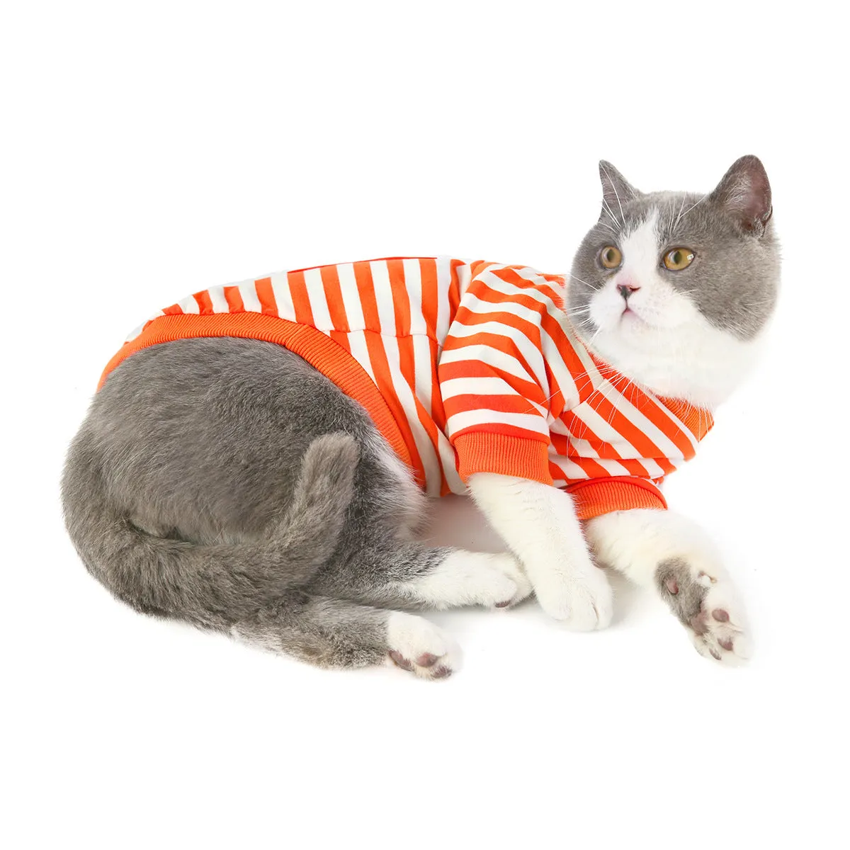 Cat clothes summer T-shirt pet clothes