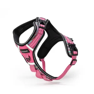 Fauna® Comfort Luxury Pink Dog Harness - S/M/L