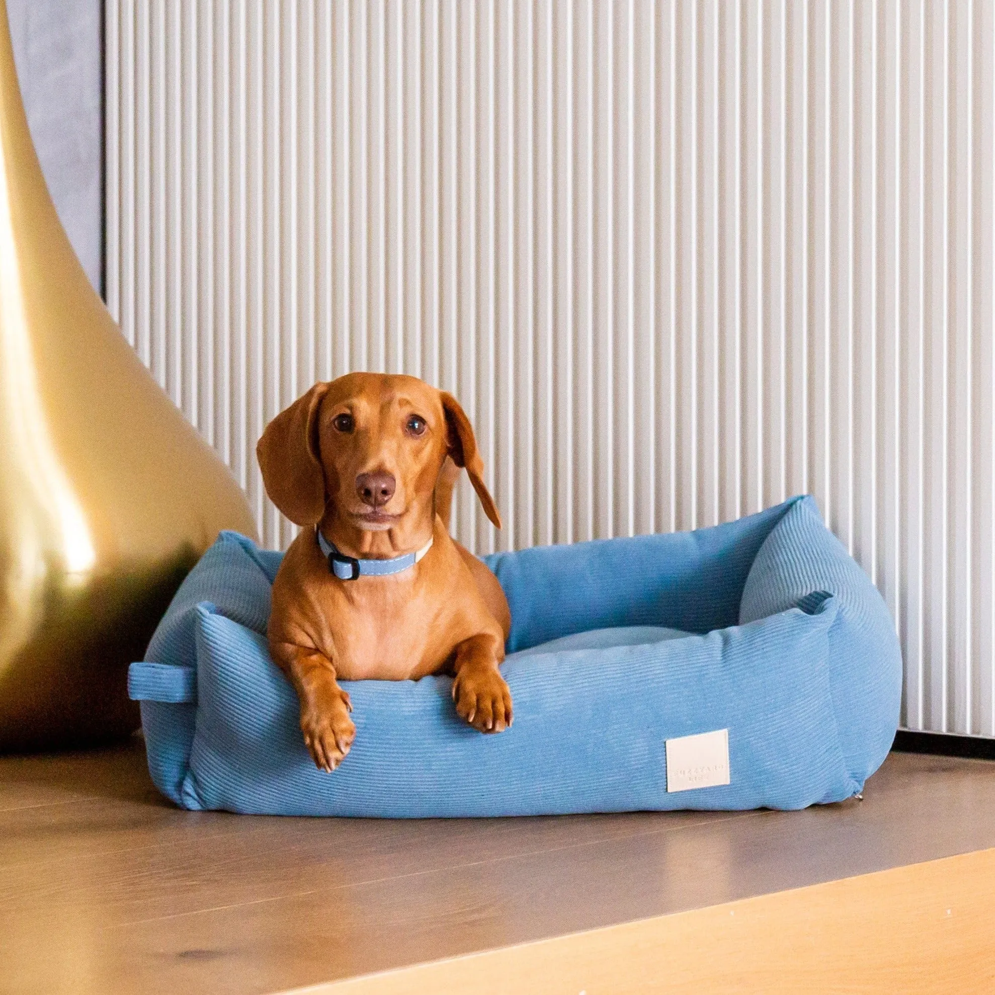 French Blue Corduroy Dog Bed | Luxurious Comfort and Style