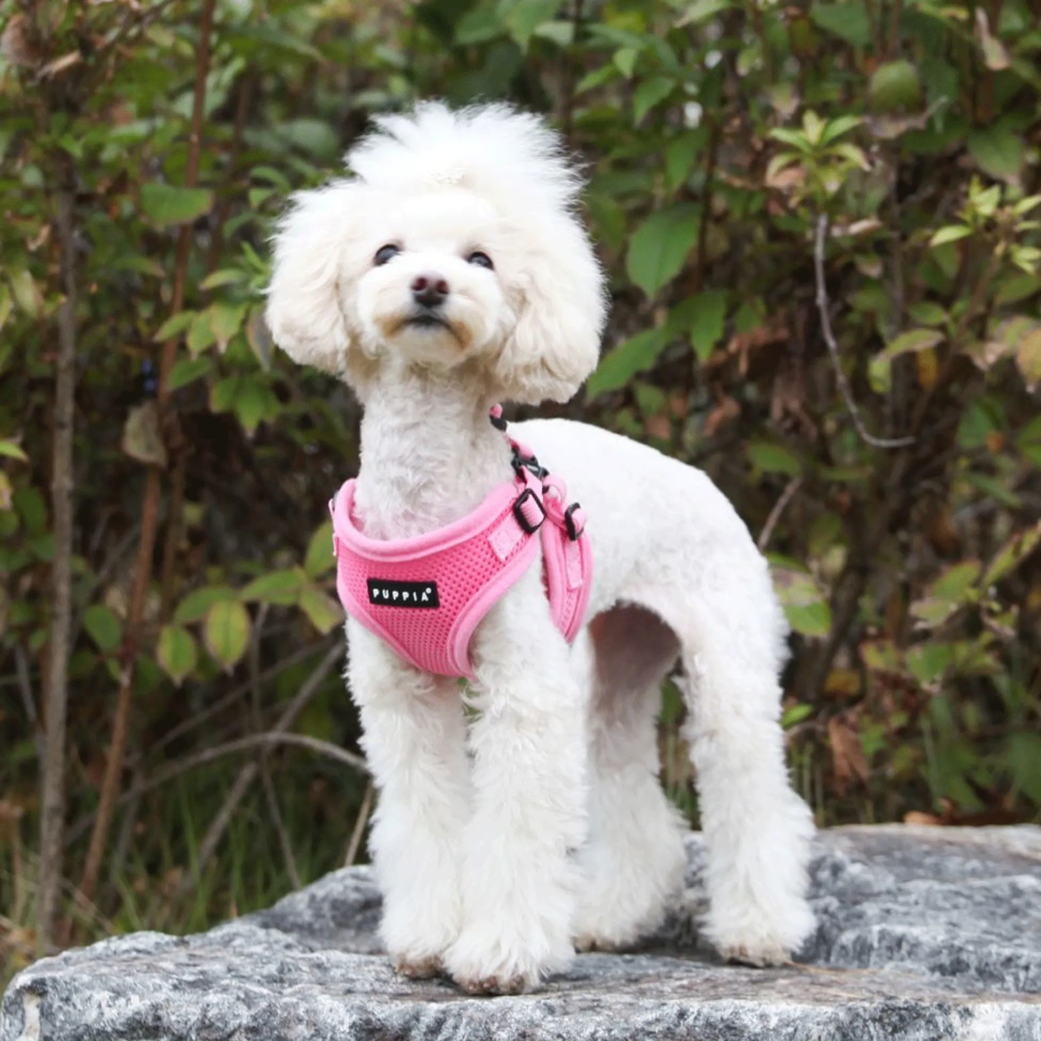 Puppia Pink Soft Step-In Harness C