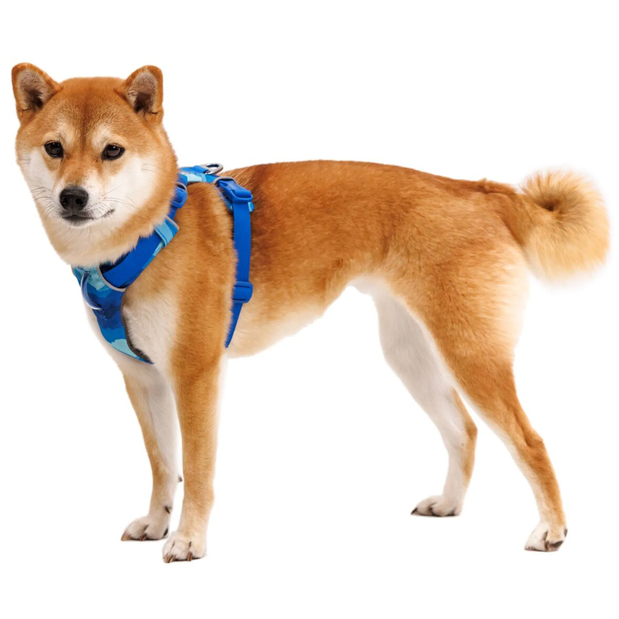 Ruffwear Front Range Harness - Coastal Mountains