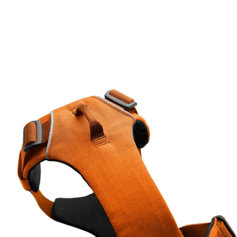 Ruffwear Front Range No-Pull Everyday Dog Harness (Campfire Orange)