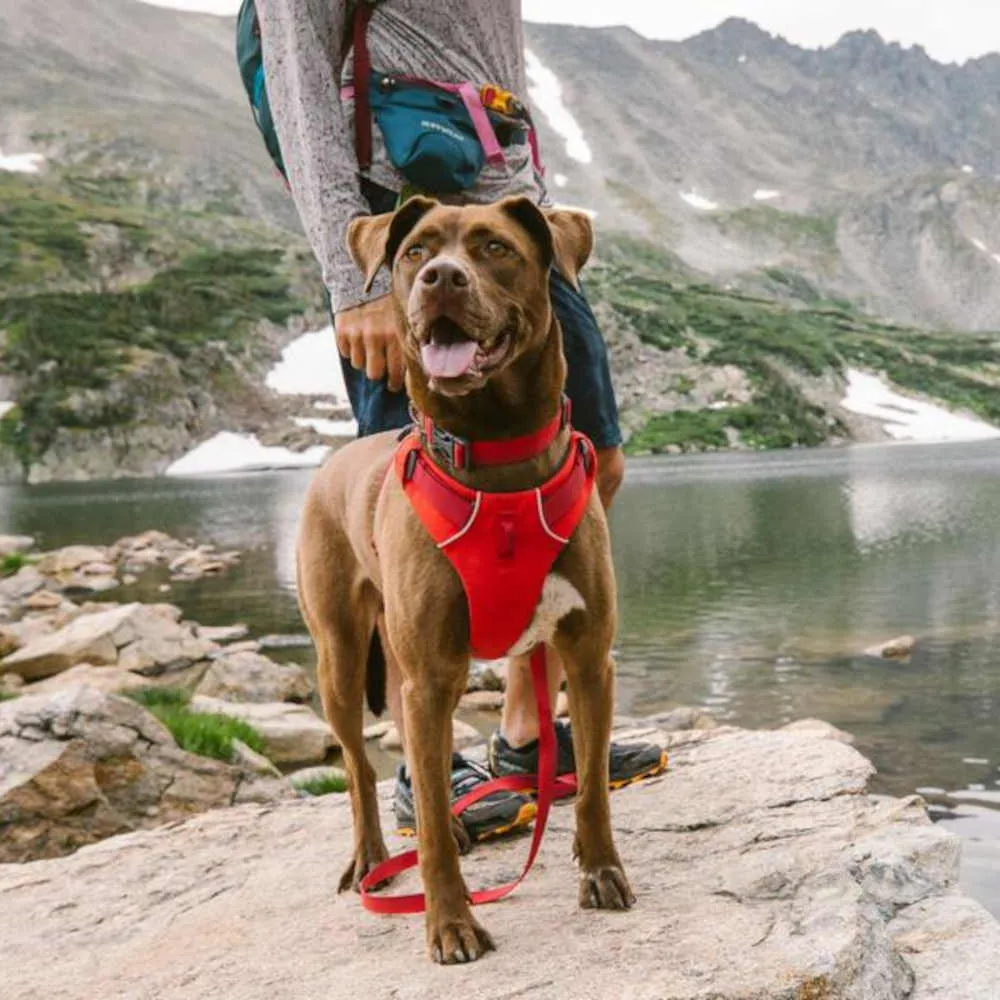 Ruffwear Front Range No-Pull Everyday Dog Harness (Campfire Orange)