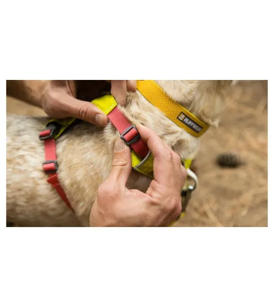 Ruffwear Hi & Light™ Lightweight Dog Harness (Salmon Pink)