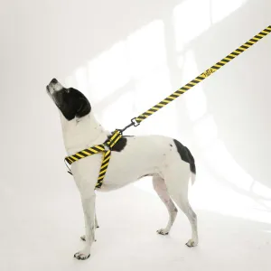 Yield Sport Dog Harness